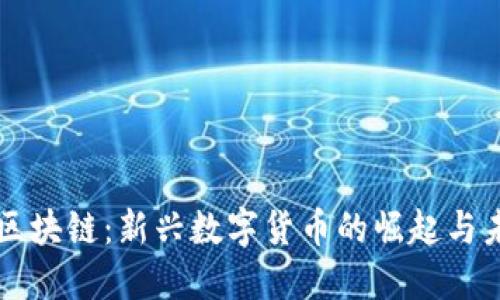 榴莲币区块链：新兴数字货币的崛起与未来展望