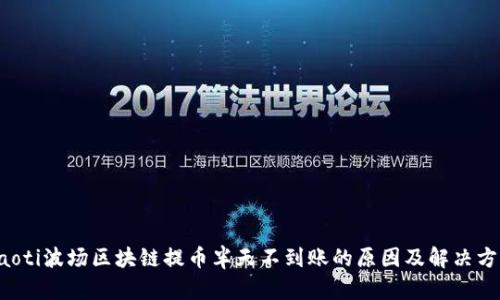 jiaoti波场区块链提币半天不到账的原因及解决方案