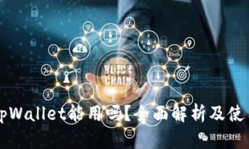 国内tpWallet能用吗？全面解析及使用指南