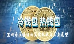 莱特币区块链的真实现状