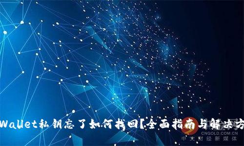 tpWallet私钥忘了如何找回？全面指南与解决方案