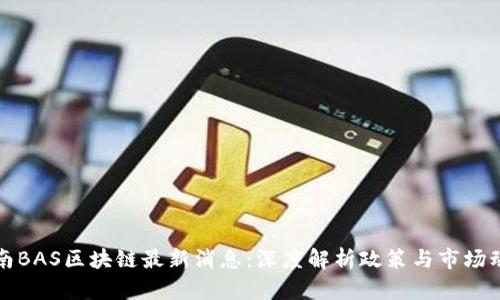 海南BAS区块链最新消息：深度解析政策与市场动态