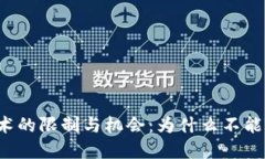 区块链技术的限制与机会