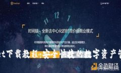 tpWallet下载教程：安全快捷