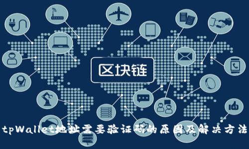 tpWallet地址需要验证码的原因及解决方法