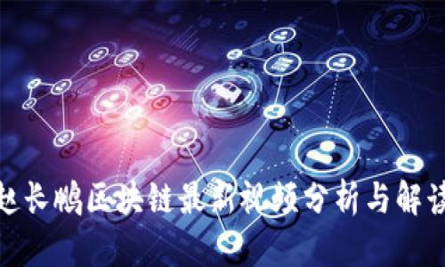 赵长鹏区块链最新视频分析与解读