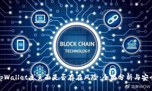 探讨tpWallet主页面是否存在风险：全面分析与安全建议