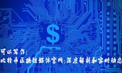 可以写作：  比特币区块链