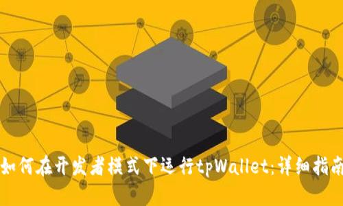 如何在开发者模式下运行tpWallet：详细指南