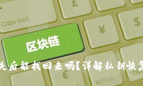 tpWallet私钥丢失后能找回来吗？详解私钥恢复方法与注意事项