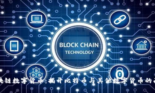区块链数字货币：揭开比特币与其他数字货币的面纱