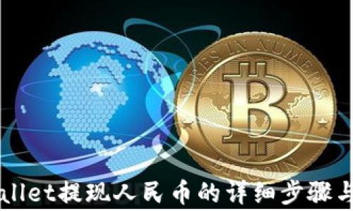 
新版tpWallet提现人民币的详细步骤与注意事项