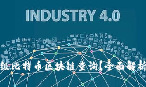 如何进行超级比特币区块链查询？全面解析与实用技巧