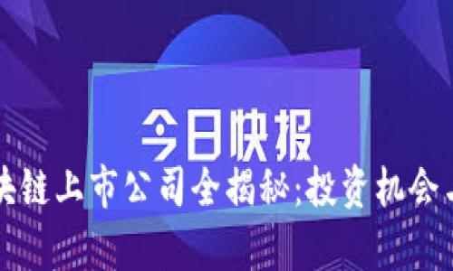比特币区块链上市公司全揭秘：投资机会与风险分析